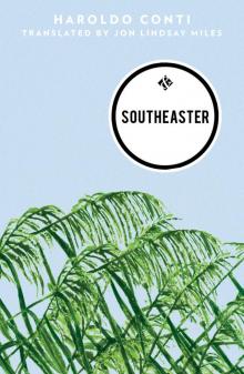 Southeaster Read online