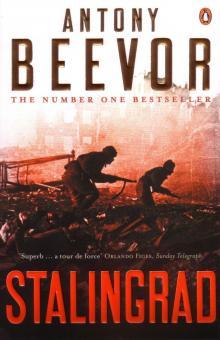 Stalingrad: The Fateful Siege, 1942–1943