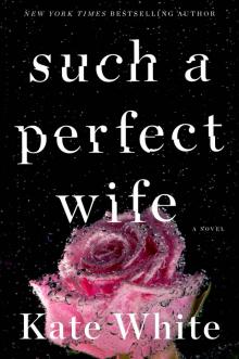 Such a Perfect Wife Read online