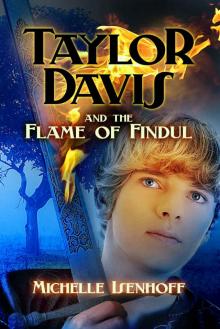 Taylor Davis and the Flame of Findul Read online
