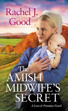 The Amish Midwife's Secret Read online