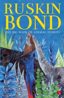 The Big Book of Animal Stories Read online