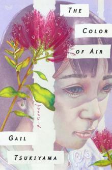 The Color of Air Read online