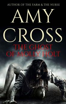 The Ghost of Molly Holt Read online