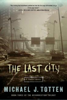 The Last City Read online