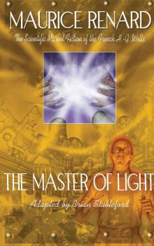 The Master of Light Read online