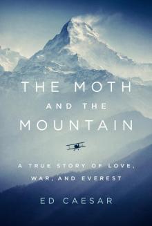 The Moth and the Mountain