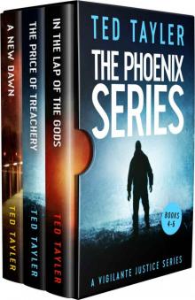 The Phoenix Series Box Set 2 Read online