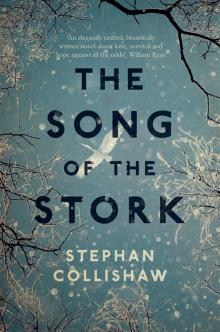 The Song of the Stork Read online