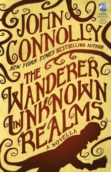 The Wanderer in Unknown Realms Read online