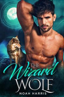 The Wizard Wolf (WindWard Triad Book 1) Read online