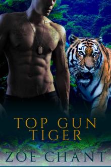 Top Gun Tiger: Protection, Inc. - Book 7