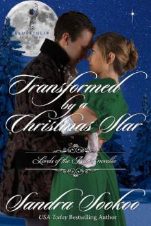 Transformed By A Christmas Star: A Lords of the Night novella Read online