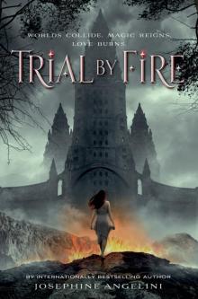 Trial by Fire Read online