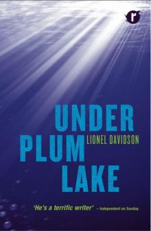 Under Plum Lake Read online