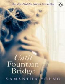 Until Fountain Bridge Read online