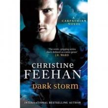 Dark Storm Read online