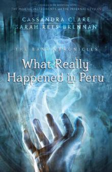 What Really Happened in Peru Read online