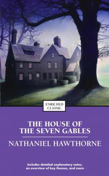 The House of the Seven Gables Read online