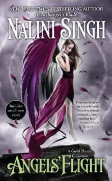 Angels' Flight Read online