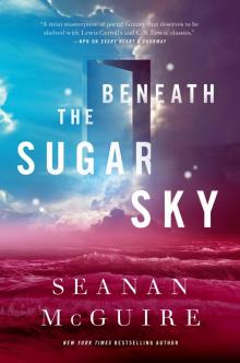 Beneath the Sugar Sky Read online