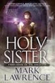 Holy Sister Read online