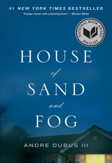 House of Sand and Fog: A Novel Read online