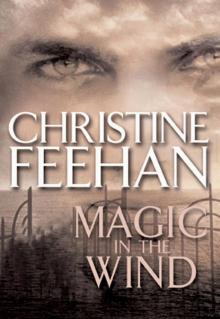 Magic in the Wind Read online