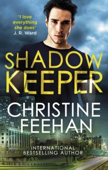 Shadow Keeper Read online
