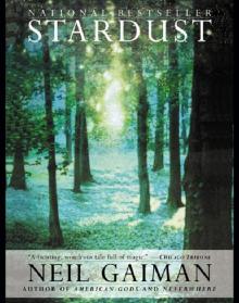 Stardust Read online