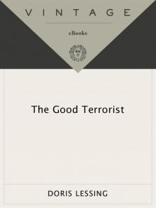 The Good Terrorist Read online