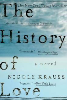 The History of Love Read online