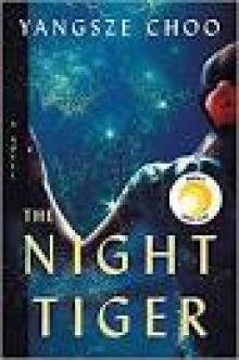 The Night Tiger Read online