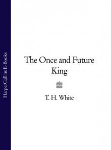 The Once and Future King (#1-4)