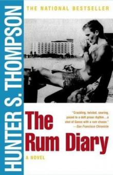 The Rum Diary Read online