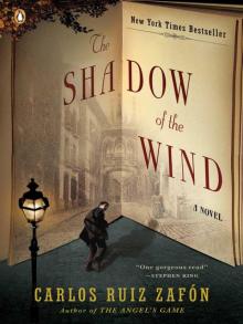 The Shadow of the Wind Read online