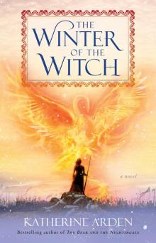The Winter of the Witch Read online