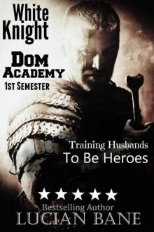 White Knight Dom Academy: 1st Semester Read online