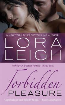 Forbidden Pleasure Read online