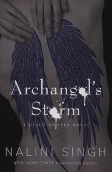 Archangels Storm Read online