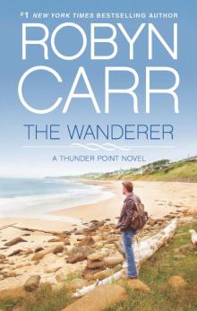 The Wanderer Read online