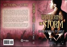 Wethering the Storm Read online