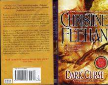Dark Curse Read online