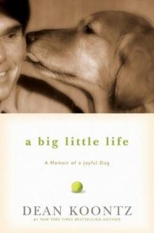 A Big Little Life: A Memoir of a Joyful Dog Read online