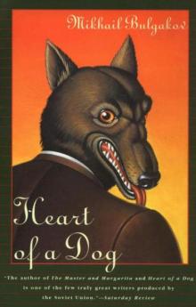 A Dog's Heart Read online