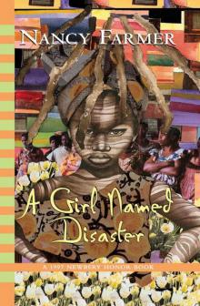 A Girl Named Disaster Read online