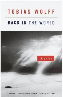 Back in the World: Stories Read online