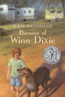 Because of Winn-Dixie Read online