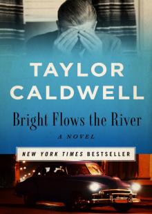 Bright Flows the River Read online