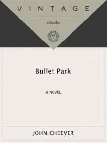 Bullet Park Read online